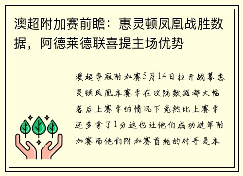 澳超附加赛前瞻：惠灵顿凤凰战胜数据，阿德莱德联喜提主场优势